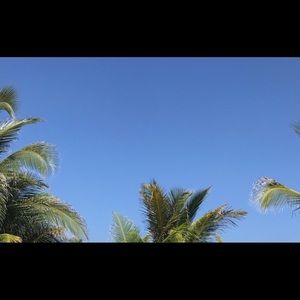 Meet your Posher, Susanne